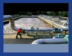 Plant AMC Services